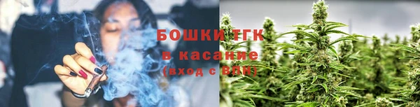 трава Абаза