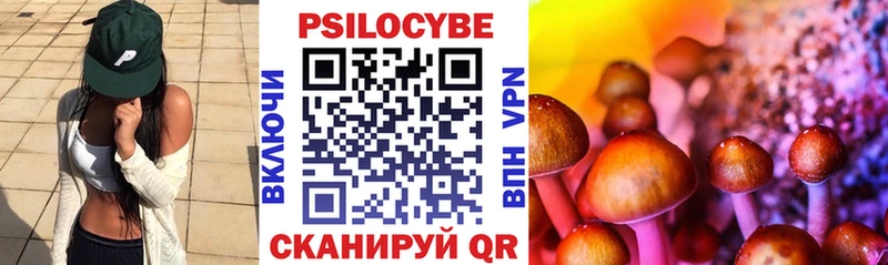 Псилоцибиновые грибы Magic Shrooms  наркота  Карабаново 